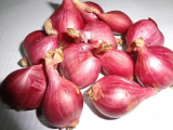 Onion _ Garlic